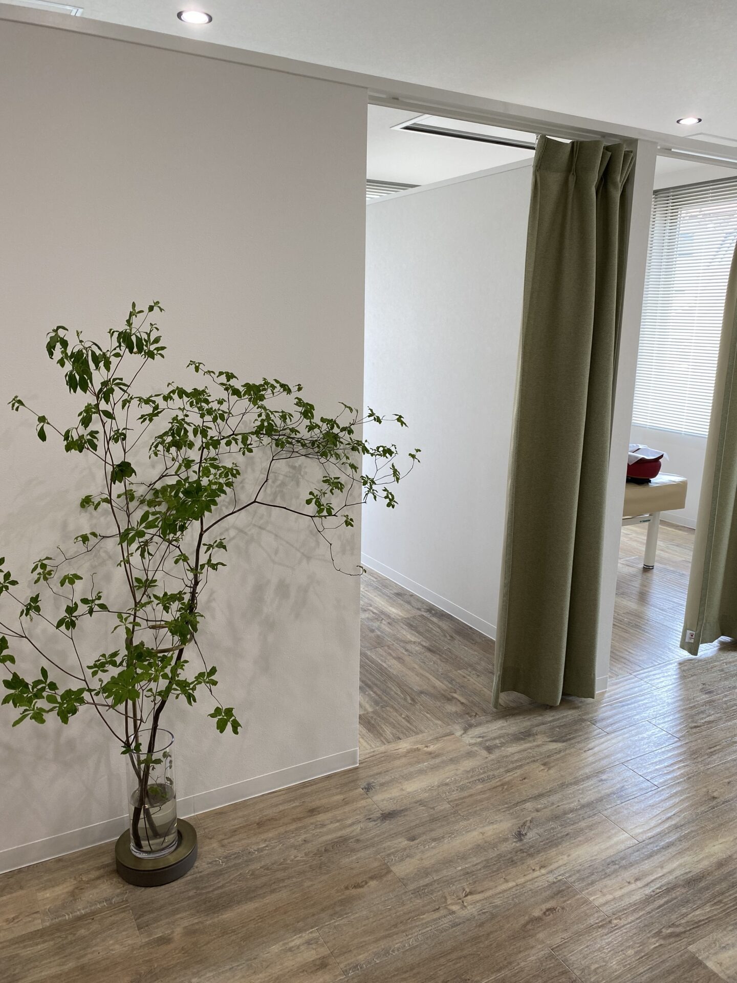 Images はり・きゅう・マッサージ たまプラ治療院