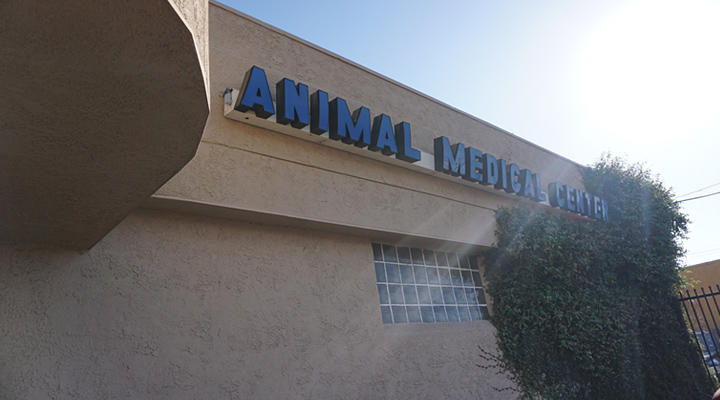 Images VCA Animal Medical Center
