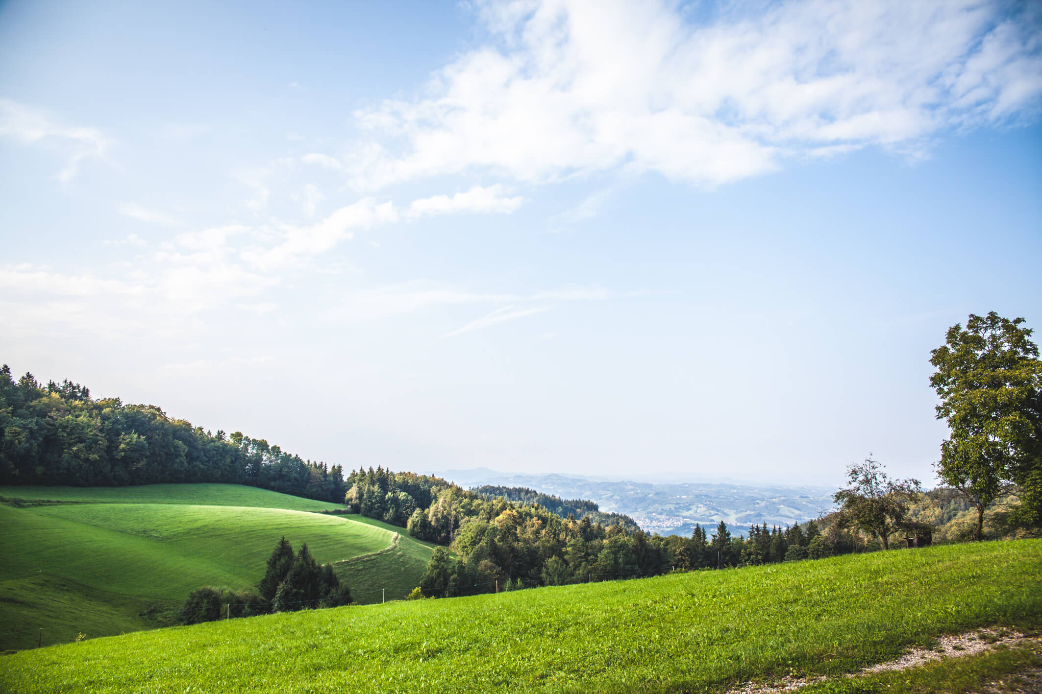 Hotel & Wirtshaus Zangl vlg. Waucher, Großwalz 31 in Leutschach an der Weinstraße