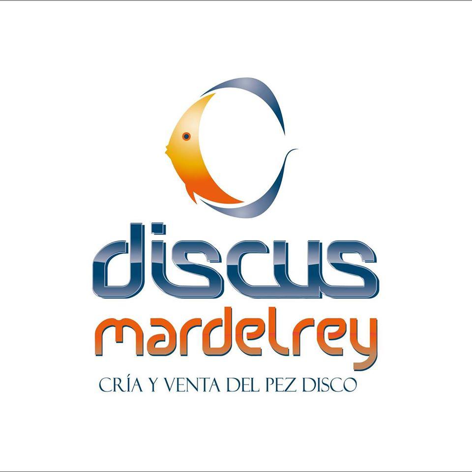 Discusmardelrey Logo
