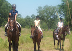 Images Star Ridge Stables