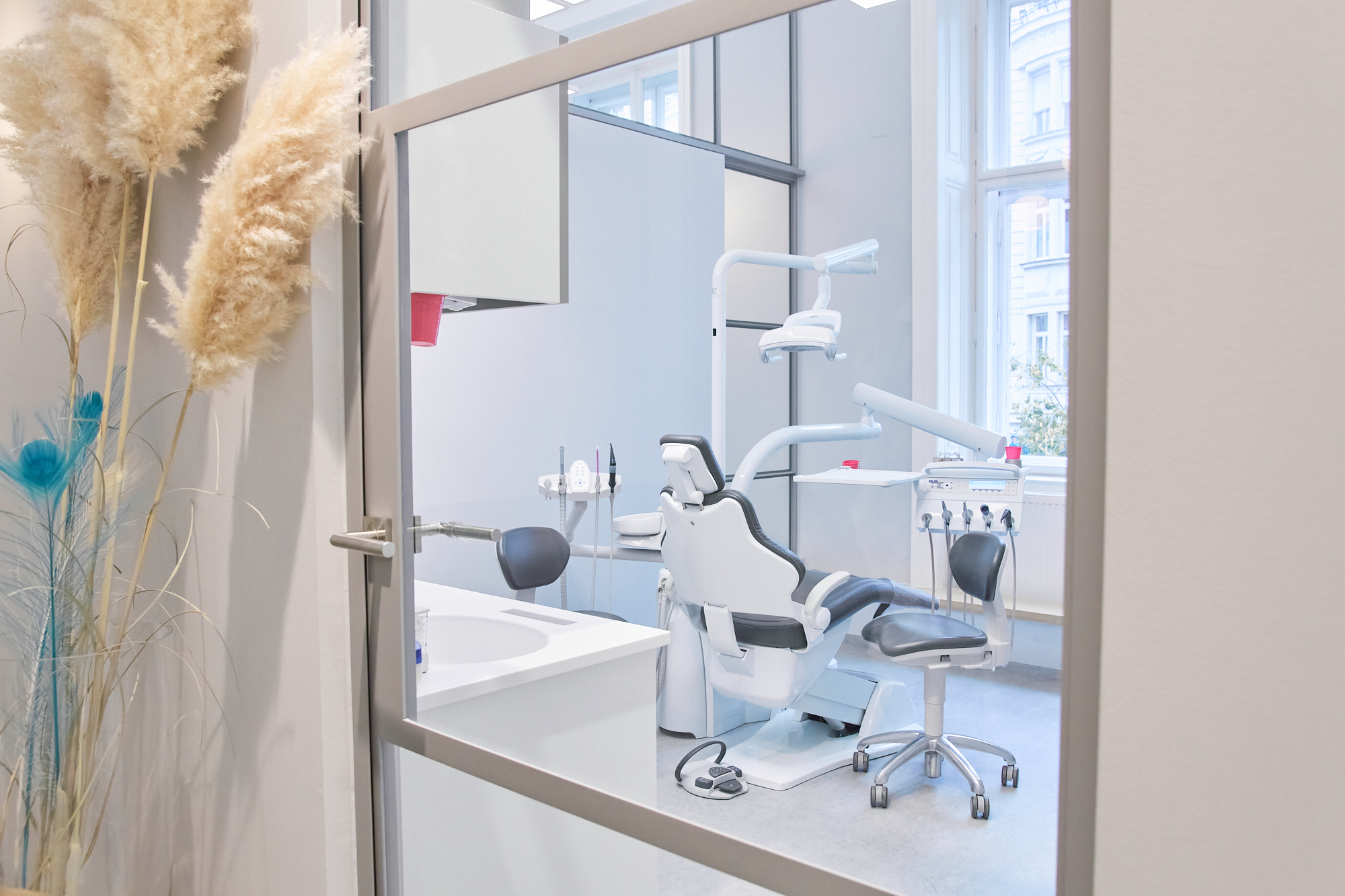 Bild 4 von Dr. Fanny Triessnig