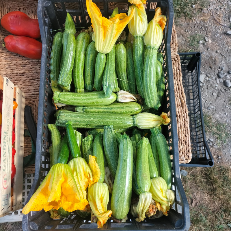Images Azienda Agricola e Fattoria Didattica Nel Giardino di Tamara