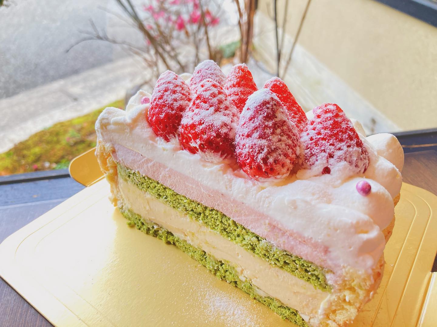 Images 一乗寺中谷