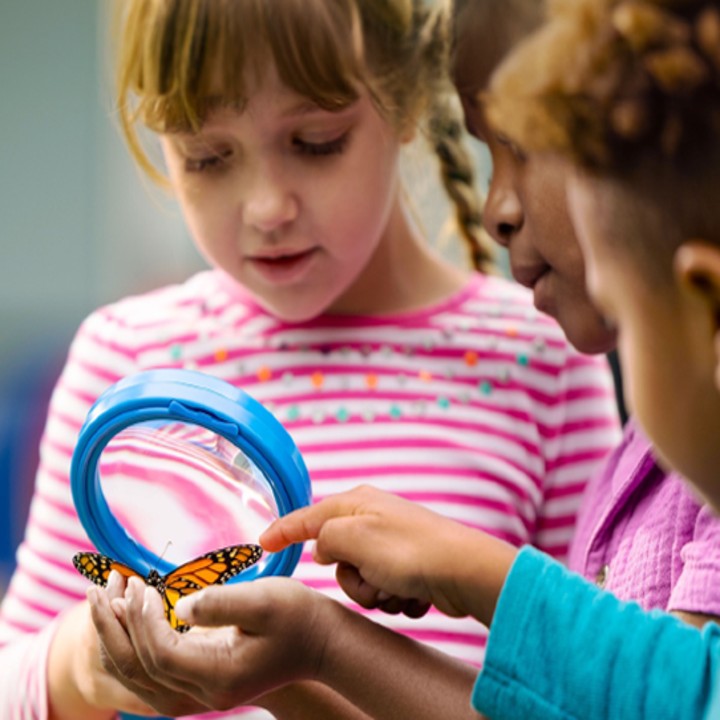 The Goddard School of Suwanee - Old Atlanta Image