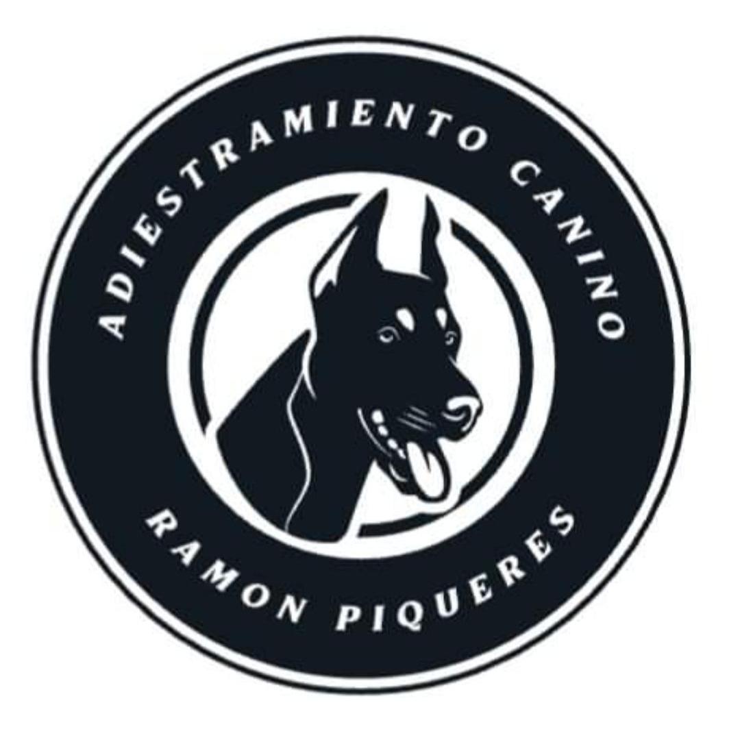 Adiestramiento Canino Ramon Piqueres Alberic