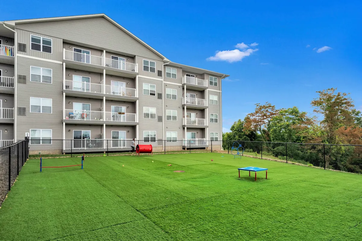Outdoor area with grass