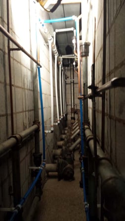 Images True Blue Plumbing, LLC