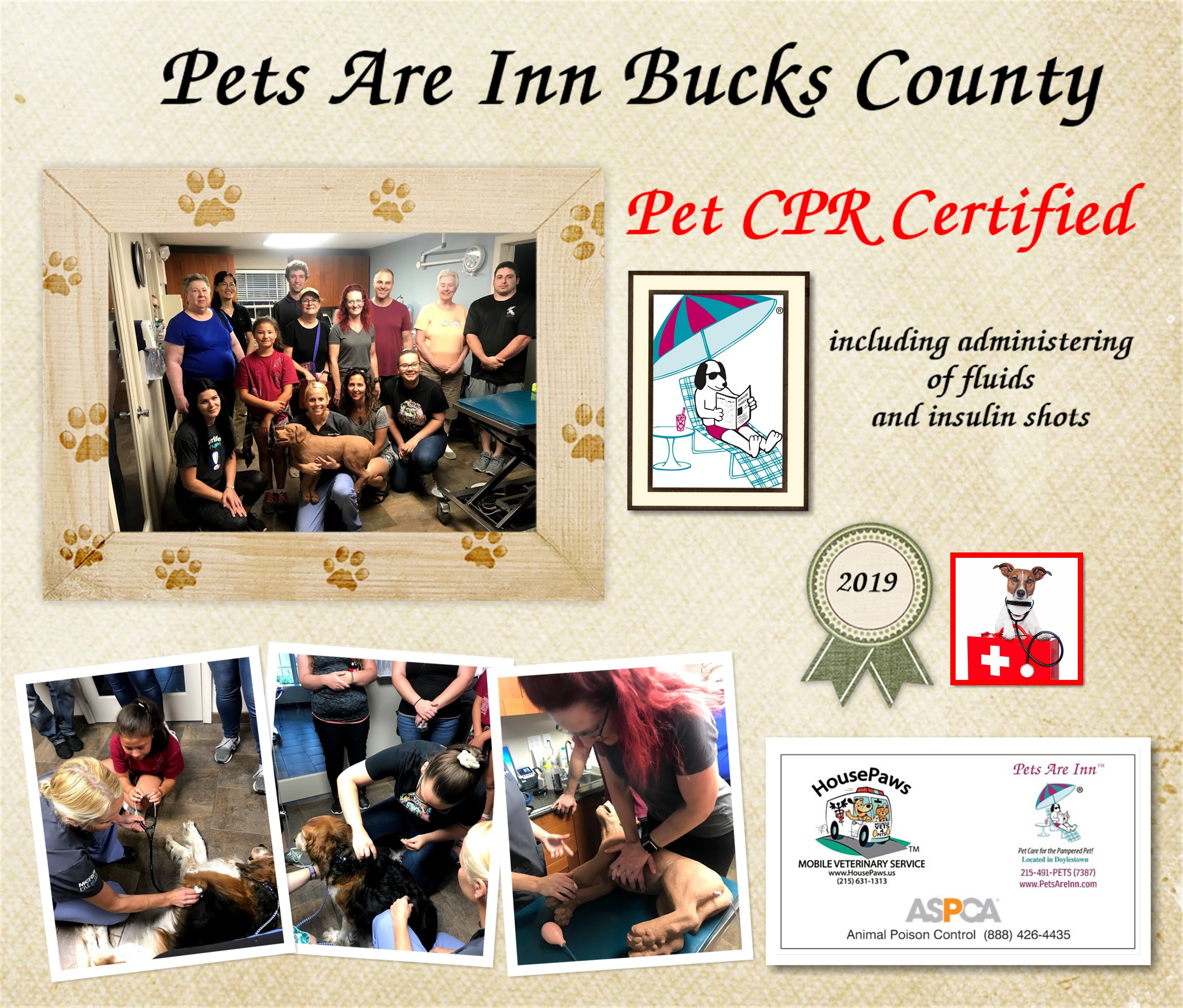 Pets Are Inn Bucks County is proud to be #Pet #CPR certified including administering of fluids and insulin shots. #PetsAreInn #Dogboarding #BucksCountyPA HousePaws Mobile Veterinary Service