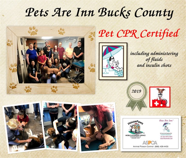 Images Pets Are Inn Bucks County