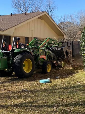 Images Texas Tree Service