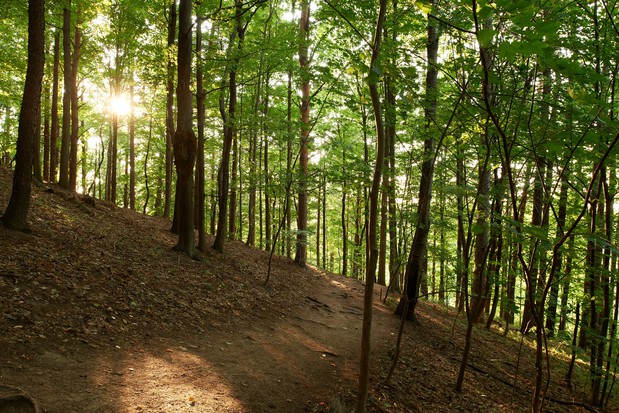 Images Hill Cumorah