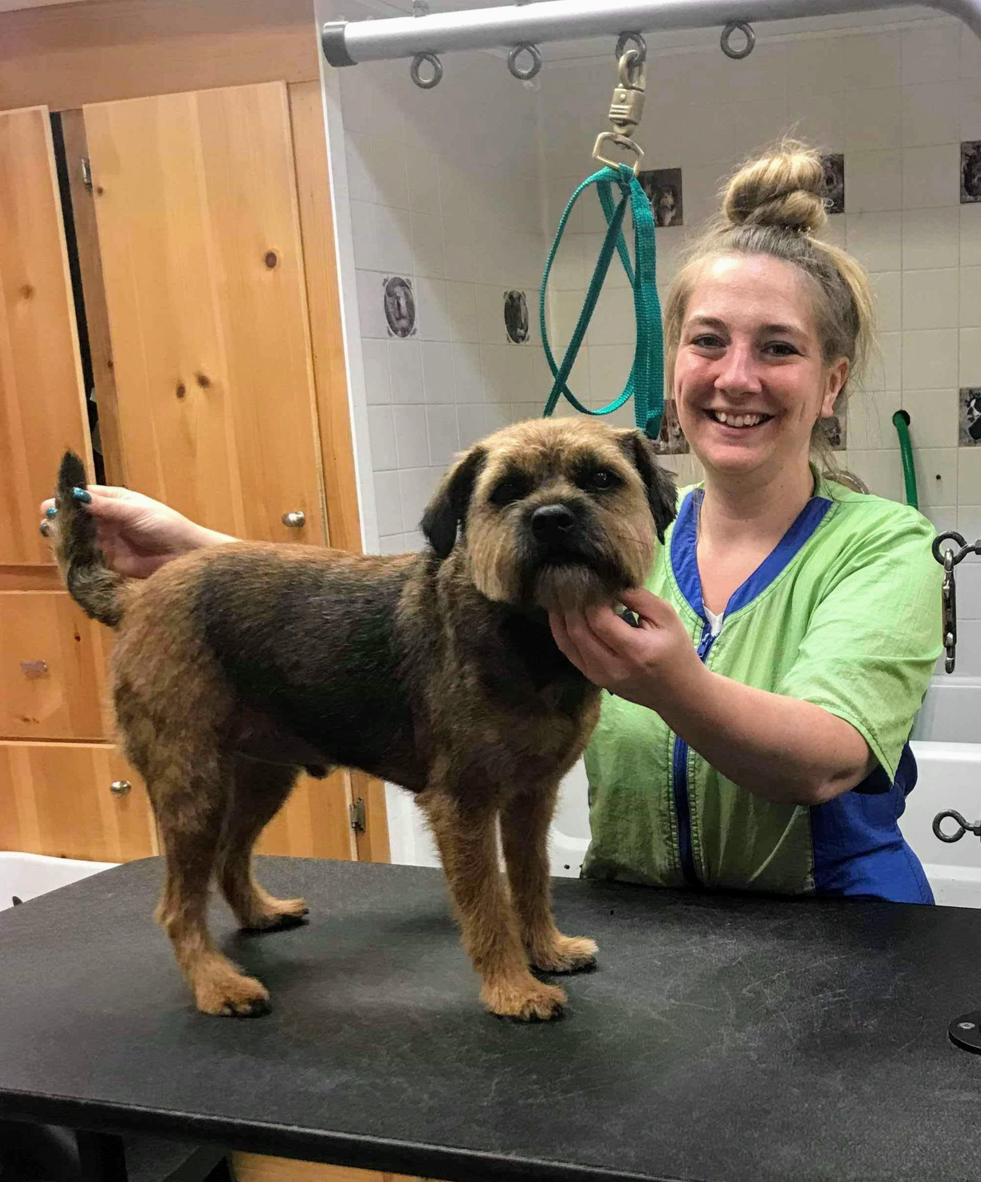 Precious Furs Pet Resort