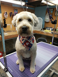 Buck & Stella's: A Grooming Parlor LLC