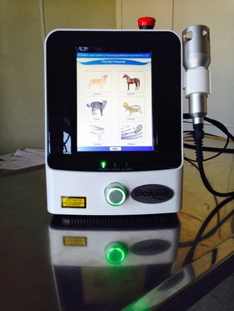 Images Melrose La Brea Animal Hospital