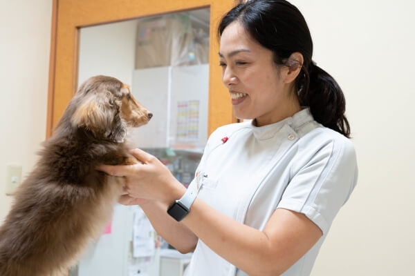 Images ペテモ動物病院 キテラプラザ青葉台