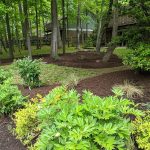 Images Yard By Yard Makeovers LLC