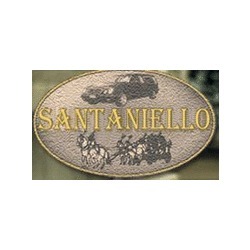 Impresa Funebre Santaniello Logo