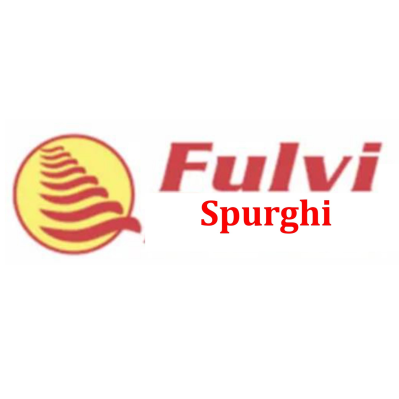 Fulvi Spurghi S.r.l Logo