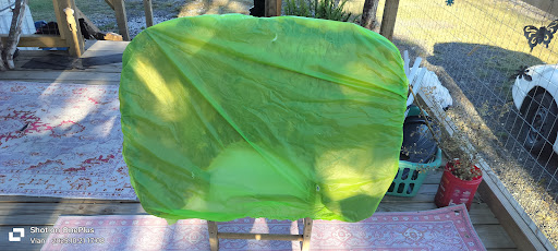 Images BobtailB1tchez