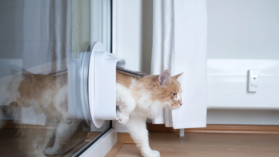 Images Quick Fit Glass