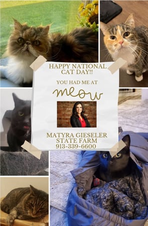 Images Matyra Gieseler - State Farm Insurance Agent