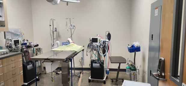 Images Vetco Total Care Animal Hospital