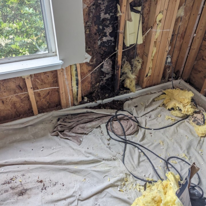 Images Affordable Mold Removal & Remodeling