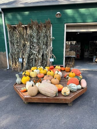 Images Puritas Nursery & Garden Center