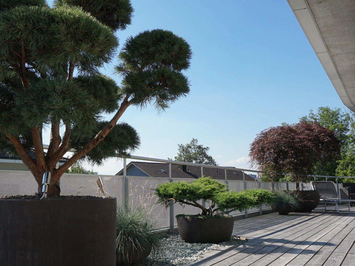 Silvedes AG, Bellevue in Brütten