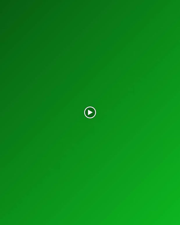 Images ER Tree Services LLC