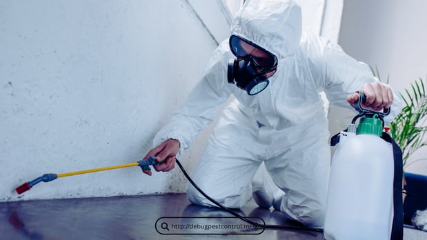 Images Pest Control Miami