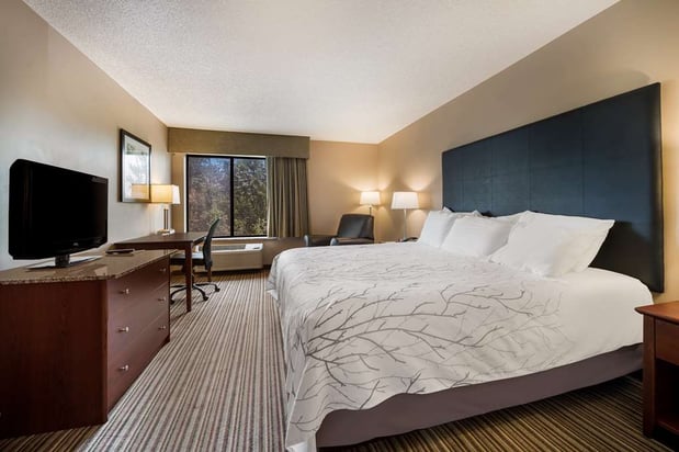 Images Best Western Park Oasis Inn