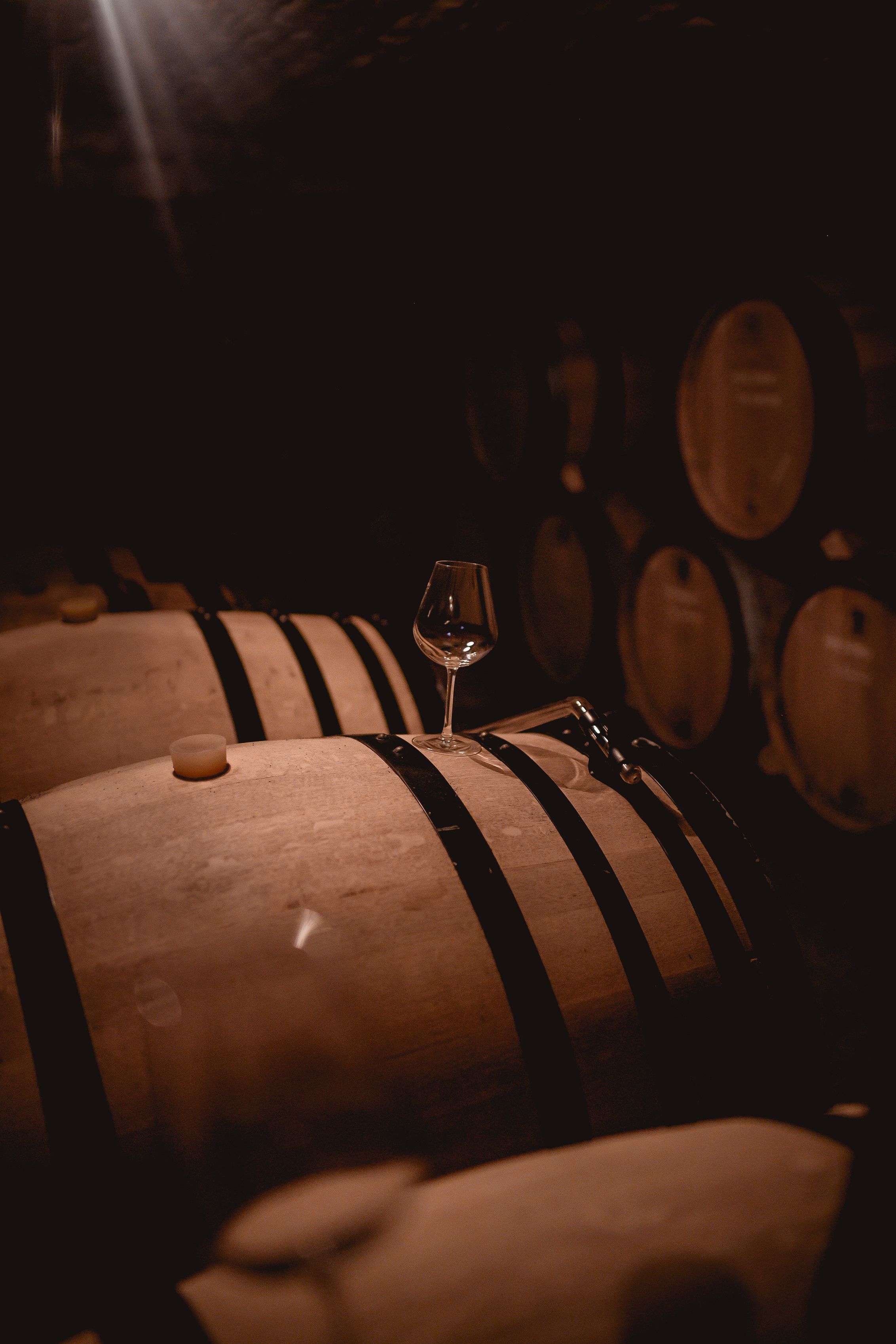 Bilder Chronos Wine Cellar SA