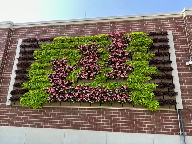 Images LSI (Lawn Sprinklers, Inc)