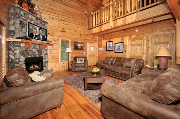 Images SkyView Rentals