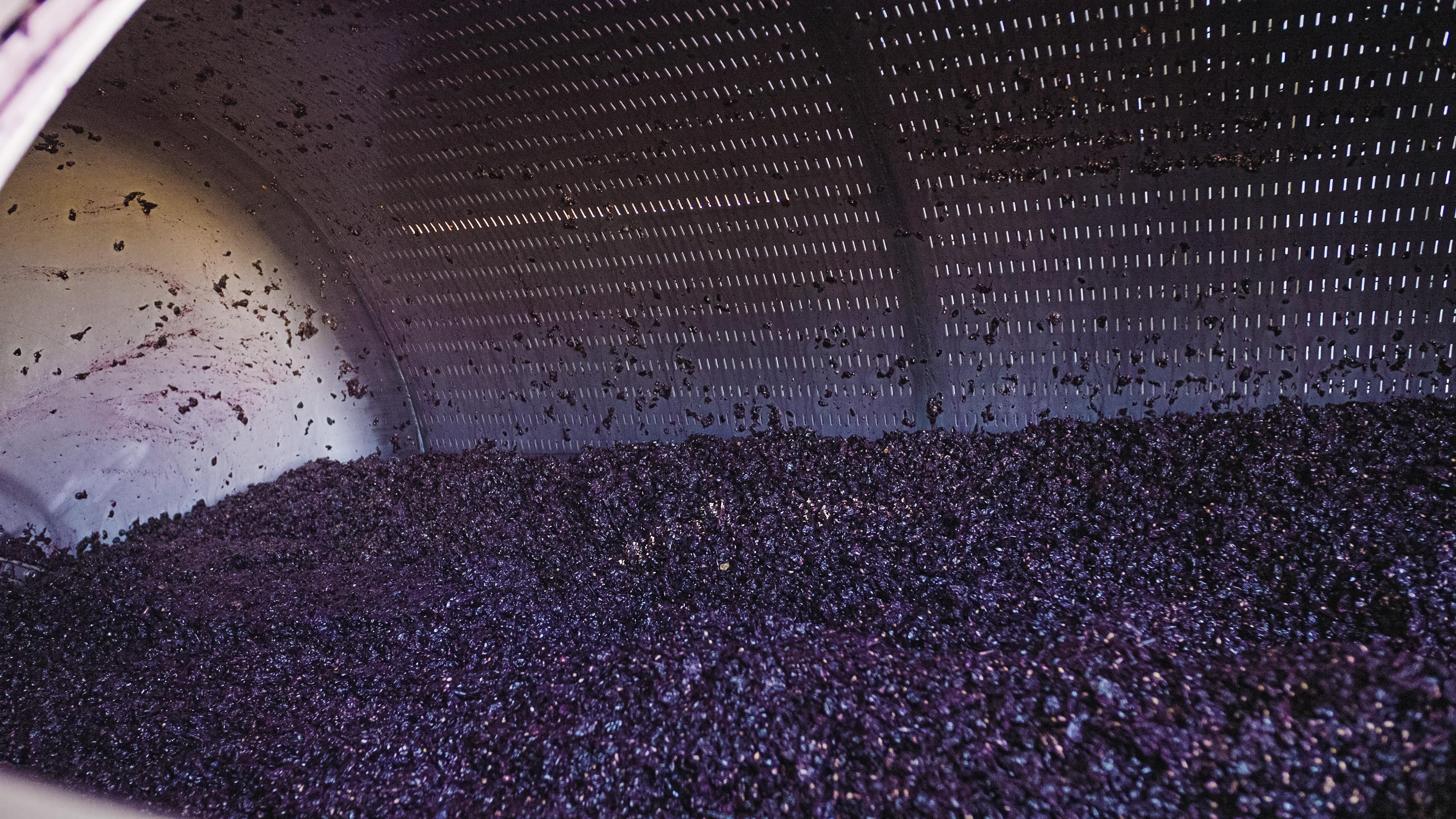 Images Curtis Winery