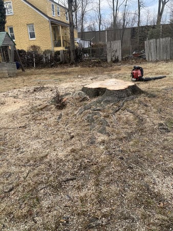 Images Guayos Landscaping & Tree Service