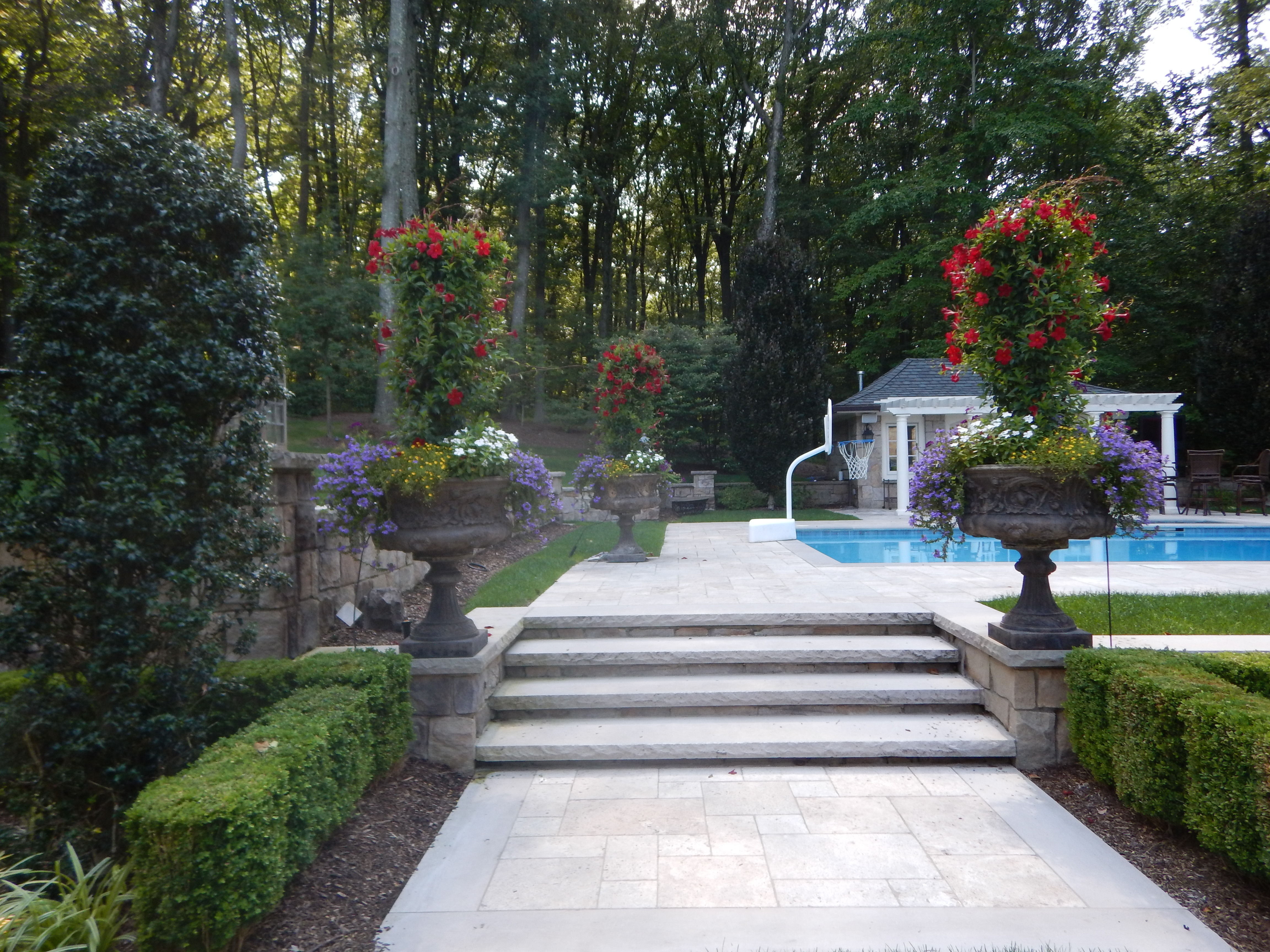 top landscape designers near me