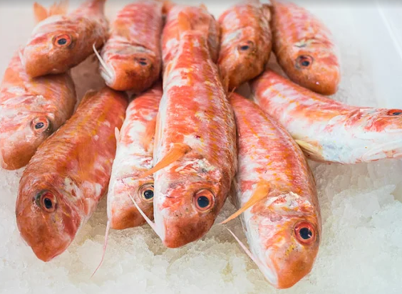 Images Pescheria La Manfredoniana