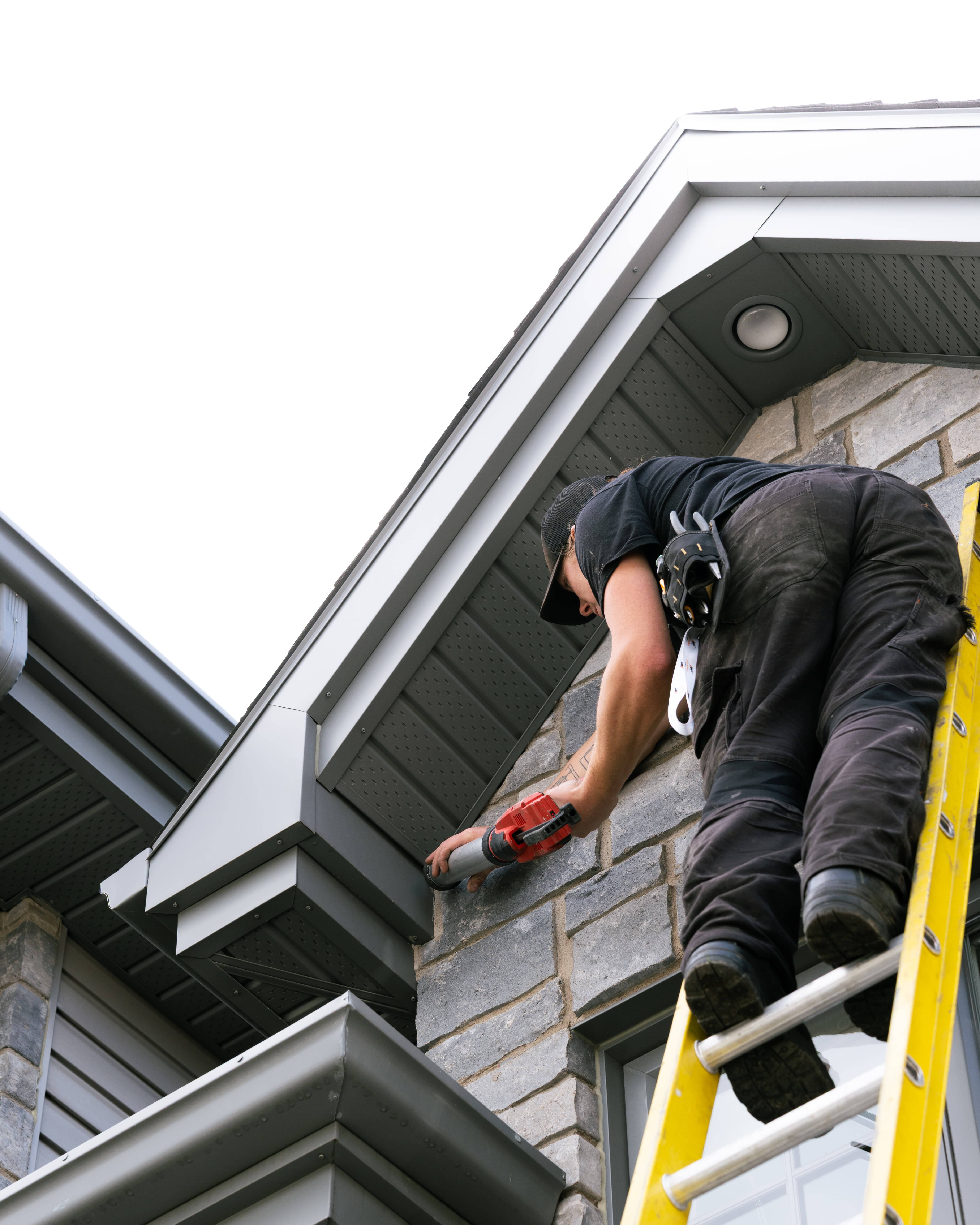 Images Exterminateurs Québec