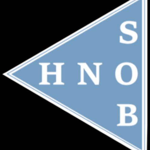 HNO Privatpraxis Dr. med. Galina Godin Schrobenhausen in Schrobenhausen - Logo