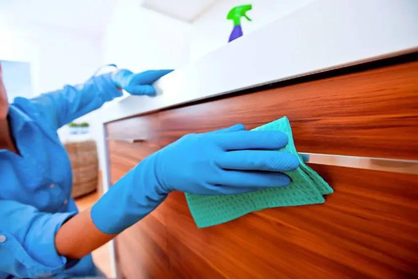 Images Clean Morelia