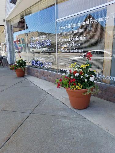 Positive Alternatives Bad Axe MI