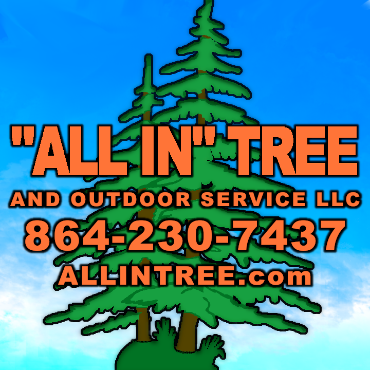 "All In" Tree and Outdoor Service LLC