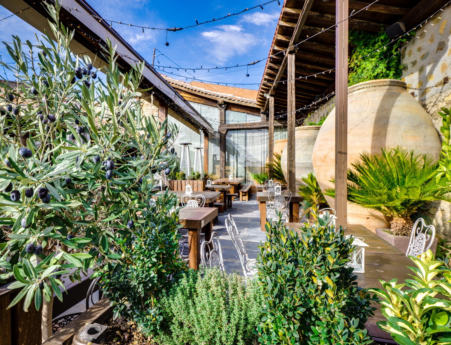 Images El Patio de los Olivos Restaurante Carnes a las Brasas y Arroces en el Mo