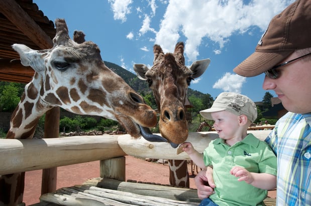 Images Holiday Inn Express & Suites Colorado Springs Central by IHG