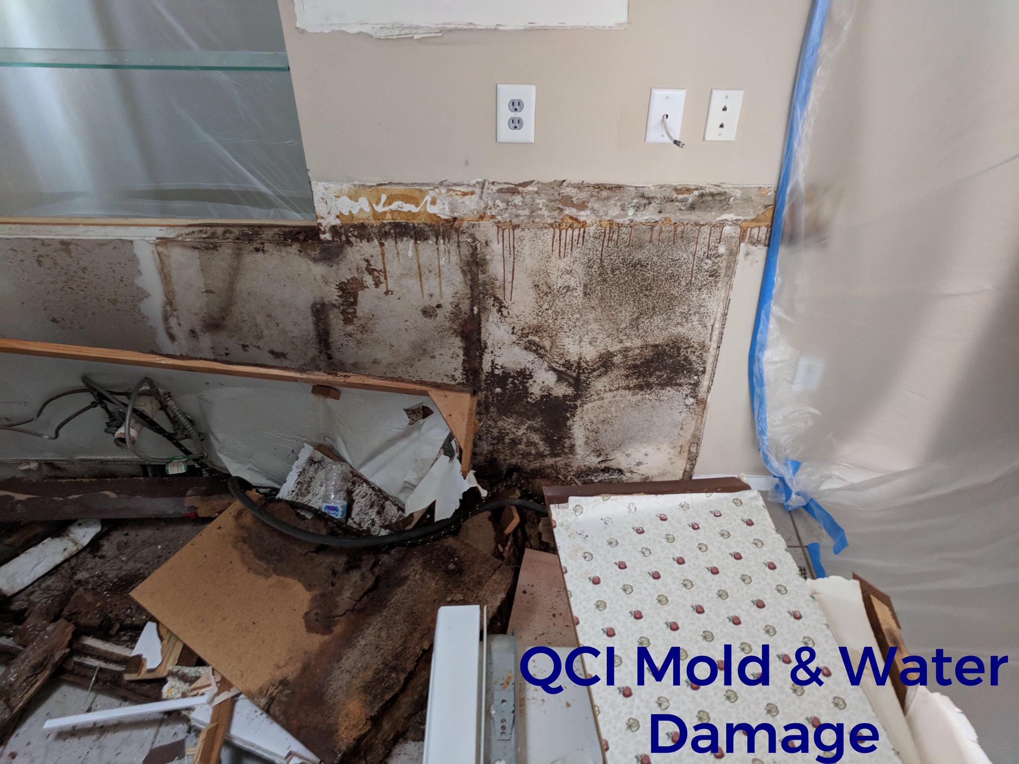 Image 9 | QCI Mold and Water Damage