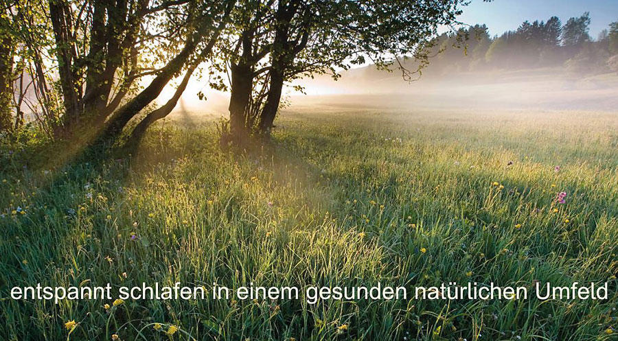Bilder Schlafsysteme Naturmatratzen München ProNatura Birnbaumblau