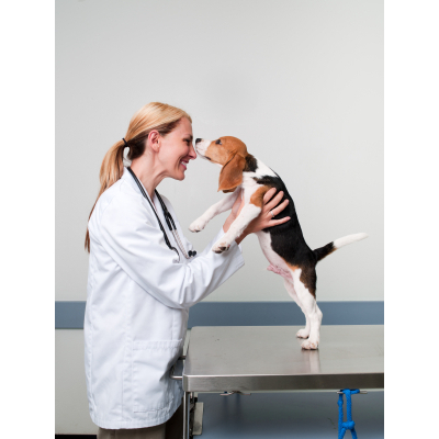 Marina Pet Hospital